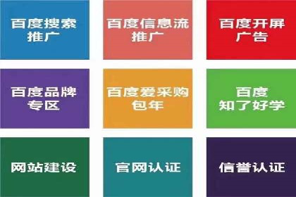 竞价托管与SEO结合的案例分析